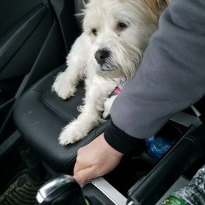 Meet your Posher, Stephen